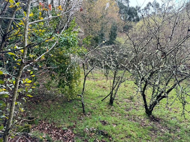 Foto 34b395ab-a24f-449f-9959-549505e3dc46. Casa a Cañiza (A)