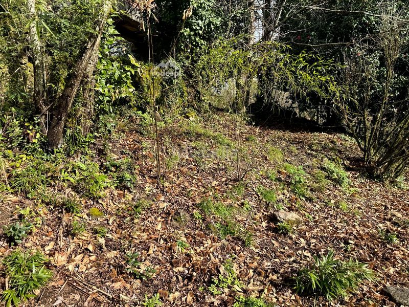 Foto ec038b4f-1bca-4480-9aa2-d2f28b912653. Casa a Cañiza (A)