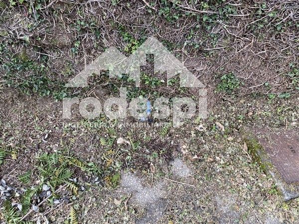 Foto 3f0cd5fa-9703-4eb7-a7d5-e9787ddf0991. Finca rústica a Cañiza (A)