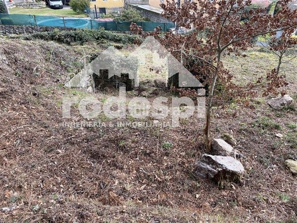 Foto 8381d7a0-8c35-43b3-a41d-8269c81e57c1. Finca rústica a Cañiza (A)