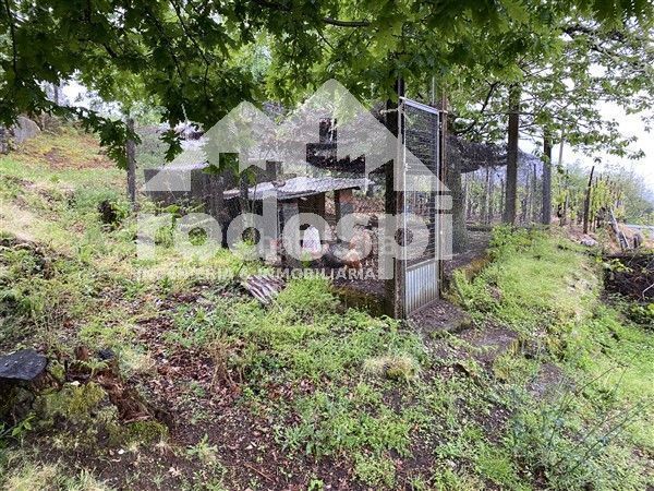 Foto 5ae3d269-72be-4aab-80c4-f39ed2b70bd9. Casa adossada a Crecente