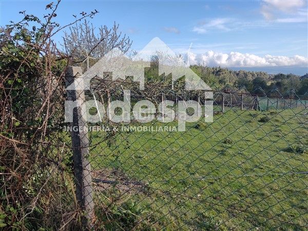Foto c922c3da-53d9-4c41-a3e9-118512109036. Finca rústica a Cañiza (A)