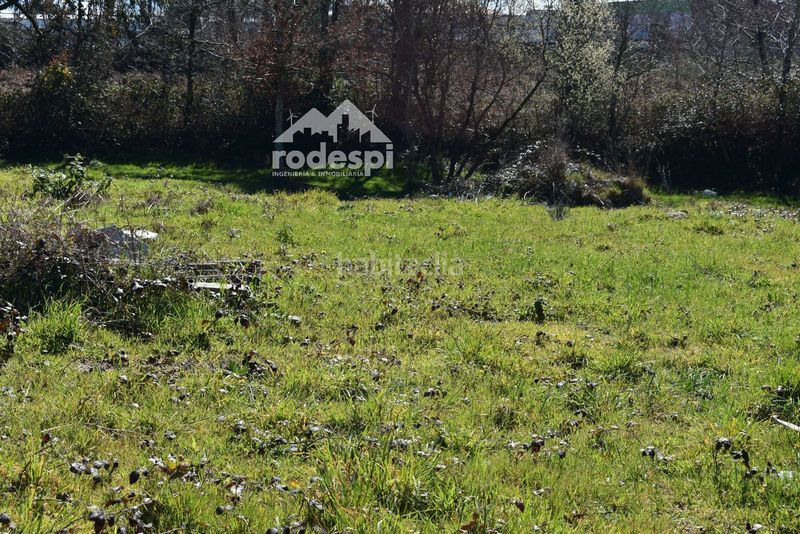 Foto 11b6a978-1488-42eb-9afb-9eead76b1e9e. Finca rústica a Cañiza (A)