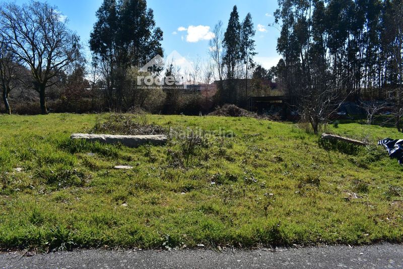 Foto 5fe700ea-c0fb-4d48-9c62-9e3bddd55d75. Finca rústica a Cañiza (A)