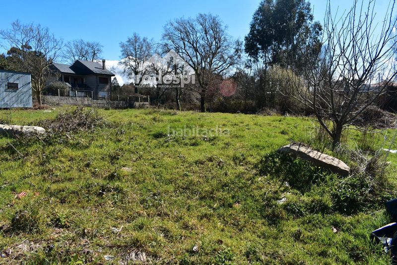 Foto 7a722275-d878-41e8-9ff5-9d704dfca35e. Finca rústica a Cañiza (A)