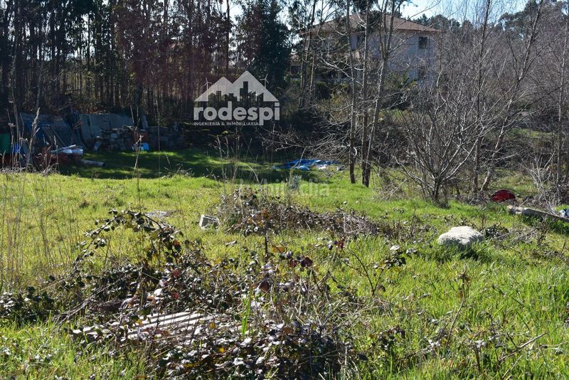 Foto b41f746a-6625-45b5-a7f5-fb69ab6a3638. Finca rústica a Cañiza (A)