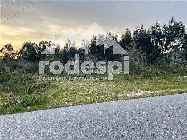 Foto 8642d286-e2f0-4fdf-910c-b1885c0ae123. Finca rústica a Cañiza (A)