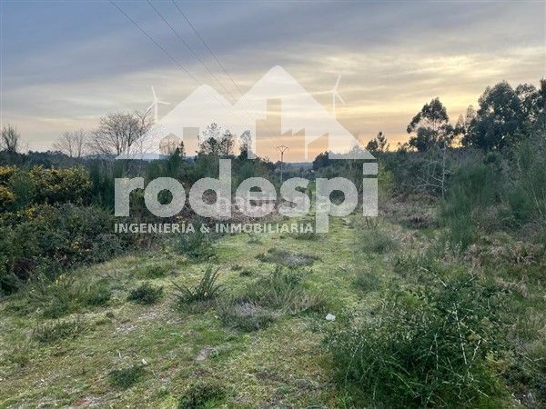 Foto a9091bc0-5e92-4fa5-9d4d-6981a85214dc. Finca rústica a Cañiza (A)