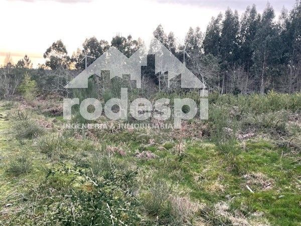 Foto c921f675-c9f3-4e78-a81f-5a448d400ef6. Finca rústica a Cañiza (A)
