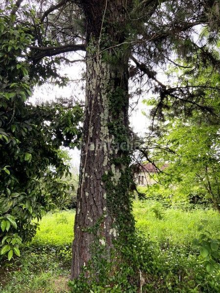 Foto 2205398d-3f28-44c7-a938-d57ba6b67525. Casa a Ponteareas