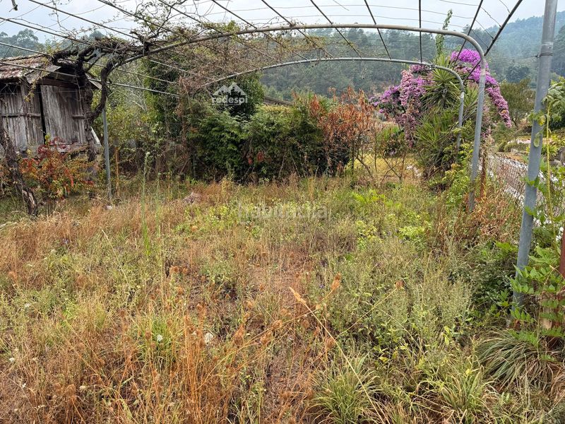 Foto dadd5f57-f3dc-4f77-9d34-f0162e5e7cbf. Casa amb calefacció a Padrenda