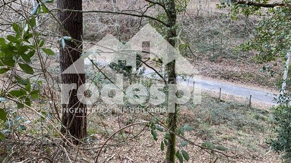 Foto 0835dcc4-6a07-4b57-b2fa-6d136c071907. Finca rústica a Cañiza (A)