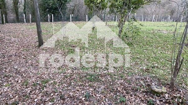 Foto 3e67c87b-5c96-4499-a952-5fb07367e52c. Finca rústica a Cañiza (A)