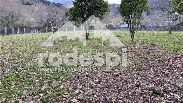 Foto 7ec39ebf-04a7-4fdc-9110-d099b0212f5f. Finca rústica a Cañiza (A)