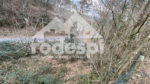 Foto aadb7e1e-af78-423b-966b-aab8807e6524. Finca rústica a Cañiza (A)