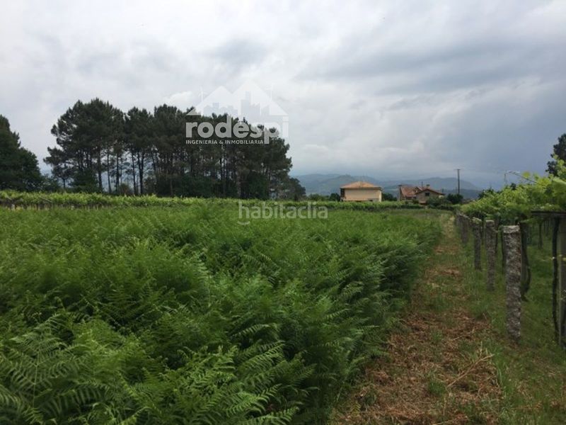 Foto 4b9f9710-9554-4590-bc64-e1b8588b3412. Finca rústica a Neves (As)