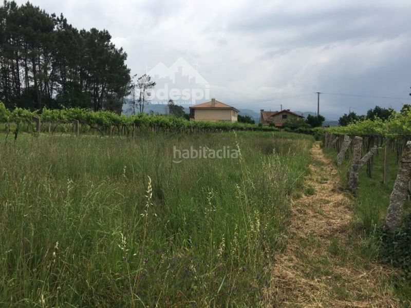 Foto 99a18667-505b-4645-acc3-08b2287c4e99. Finca rústica a Neves (As)