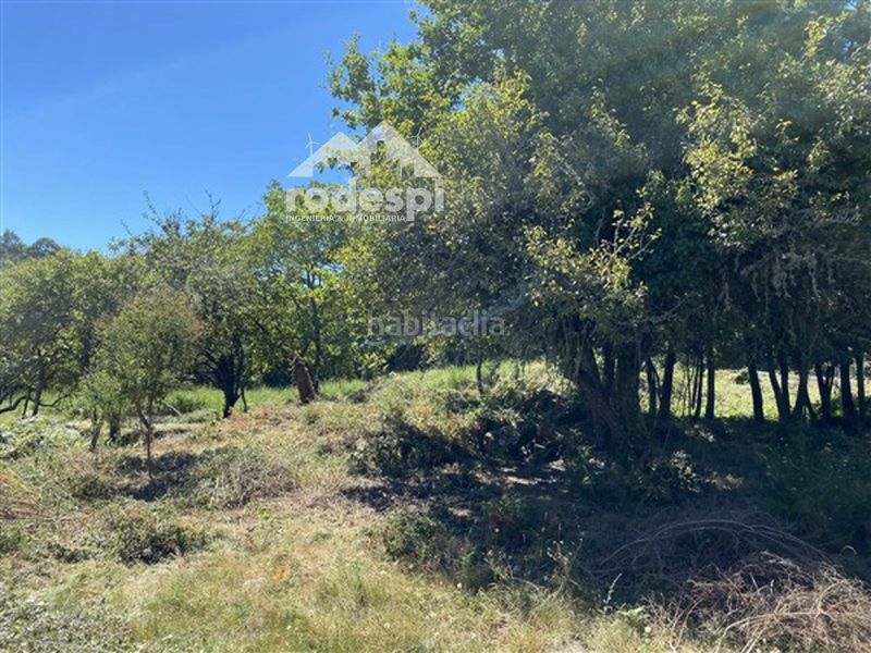 Foto 2a220b48-6885-4540-8282-a8f7821aa298. Finca rústica a Cañiza (A)