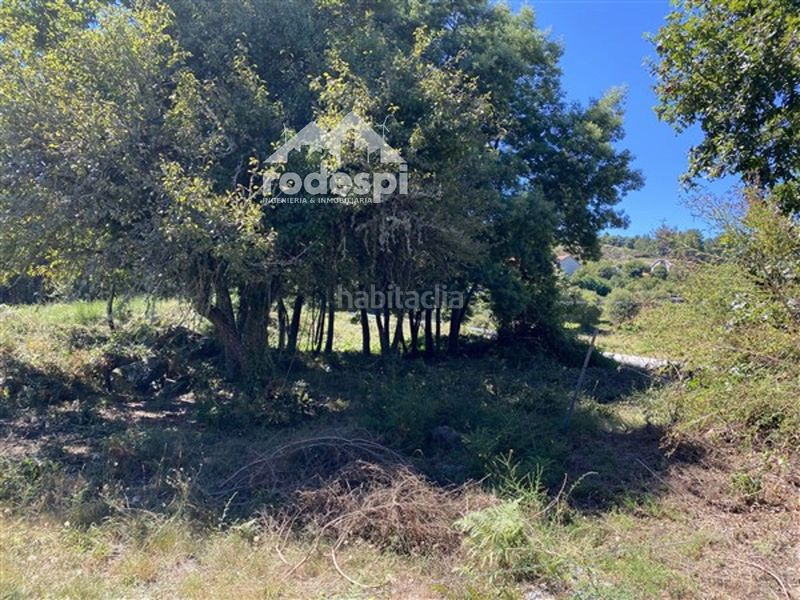 Foto e22adad4-41e9-427f-8970-45baceadb68d. Finca rústica a Cañiza (A)