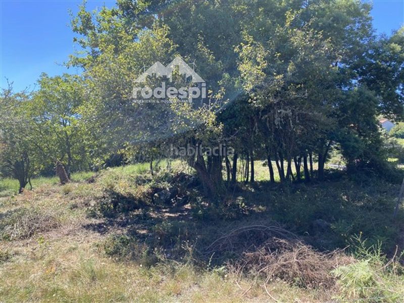 Foto efdc8503-ee21-425e-aa90-e9a6bf990dfb. Finca rústica a Cañiza (A)