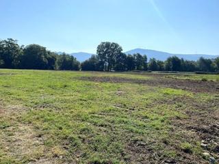 Propriété à Rosal (O). Finca en o rosal