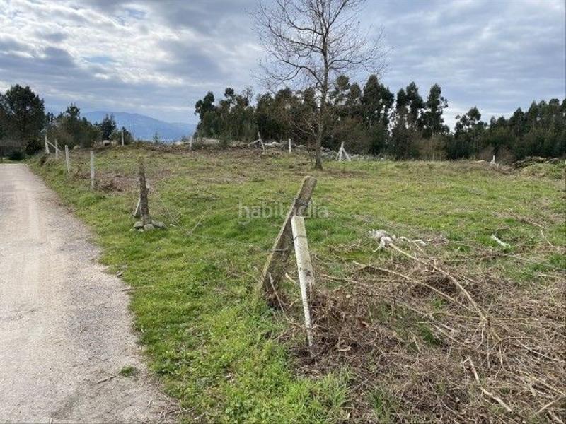 Foto e8c8568f-a4fe-4243-9d96-1736517a9e6d. Terreno residencial finca edificable en cequeliños en Arbo