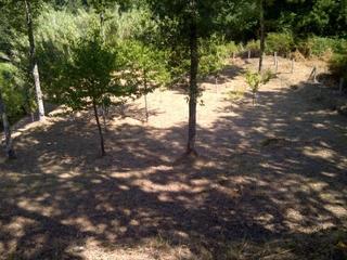 Propriété à Cañiza (A)