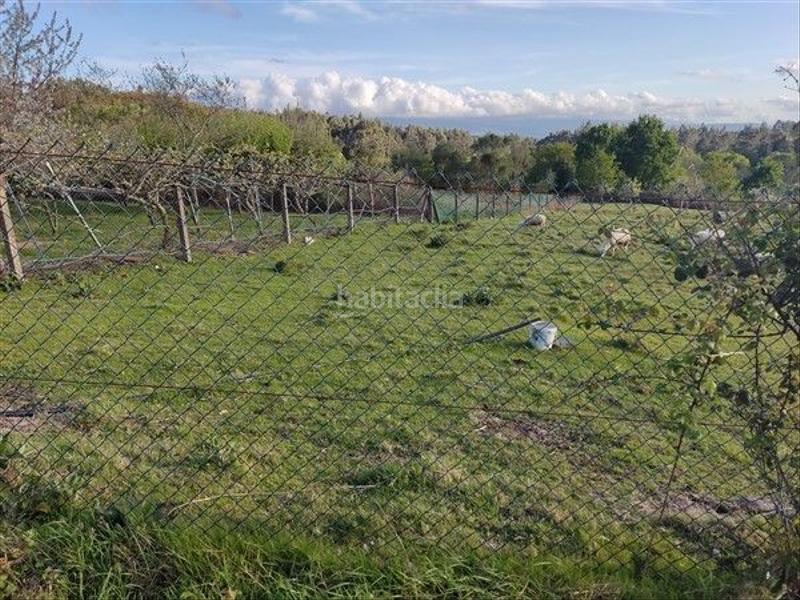 Foto 38be73f8-cd87-4430-b6a7-95e885b40030. Terreno residencial en Cañiza (A)