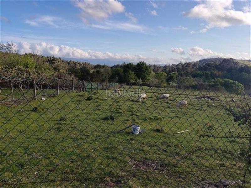 Foto 8606c672-d486-49f5-9f3e-7eb74bf98c94. Terreno residencial en Cañiza (A)