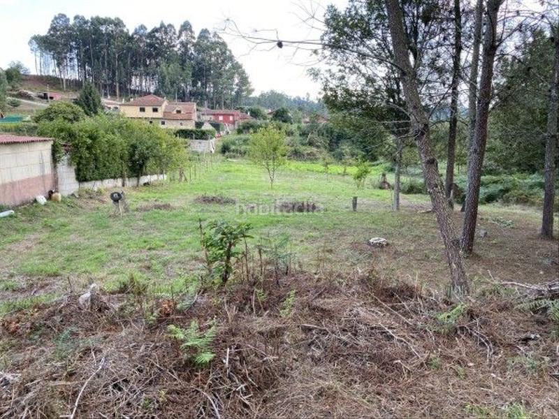 Foto bd2aaac7-600e-43aa-bfa1-e755ab6c7f8e. Casa  a la venta en albeos - en Crecente