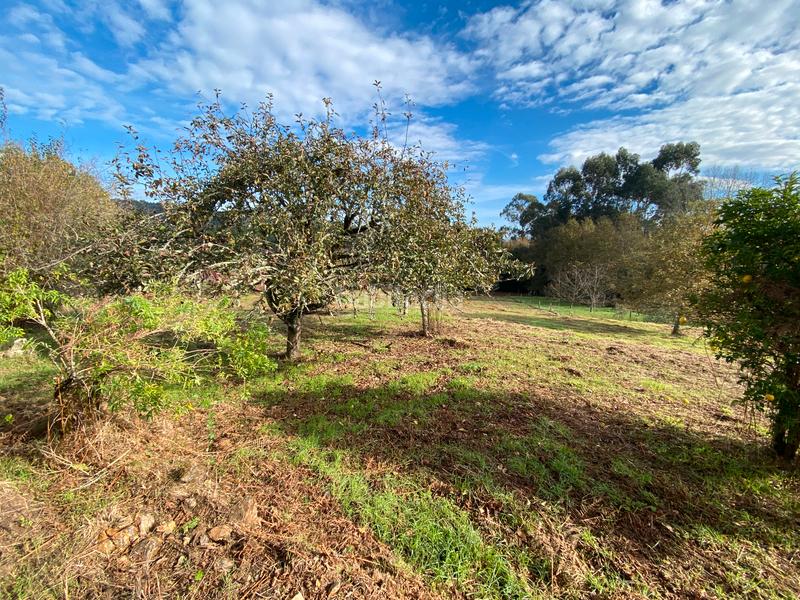 Foto 1abeee7c-859b-468b-b947-8a88921660ad. Haus mit parking in Crecente