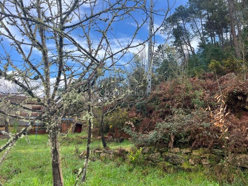 Foto 2ae33bed-f37e-414c-9d0f-70242682e290. Casa con camino riscaldamento in Castrelo de Miño