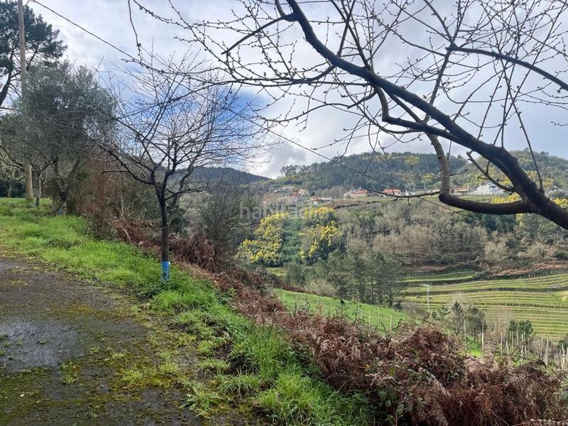 Foto 4b0eb700-caca-4e59-87e1-626213cf000e. Casa con camino riscaldamento in Castrelo de Miño