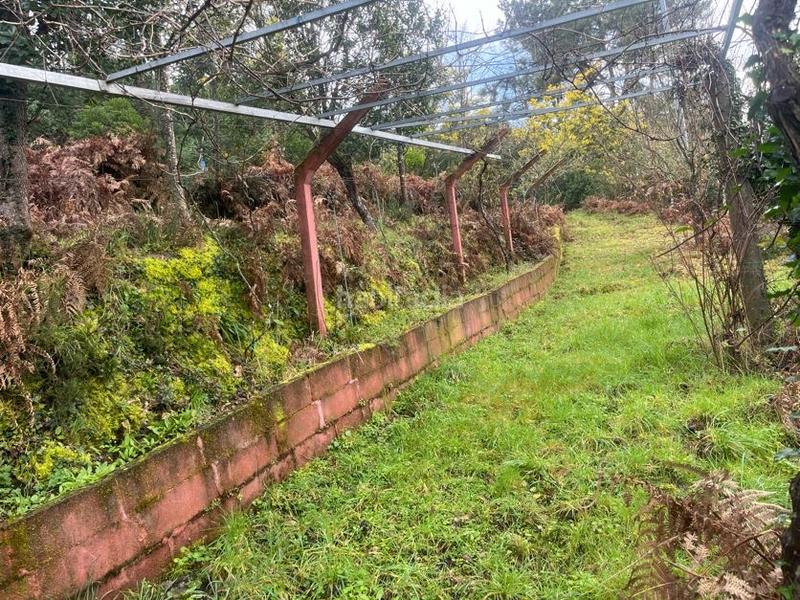 Foto 8d81dc88-078e-48d9-9673-5741d826df9e. Casa con camino riscaldamento in Castrelo de Miño