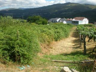 Terreny residencial  Po-400. Finca edificable en albeos