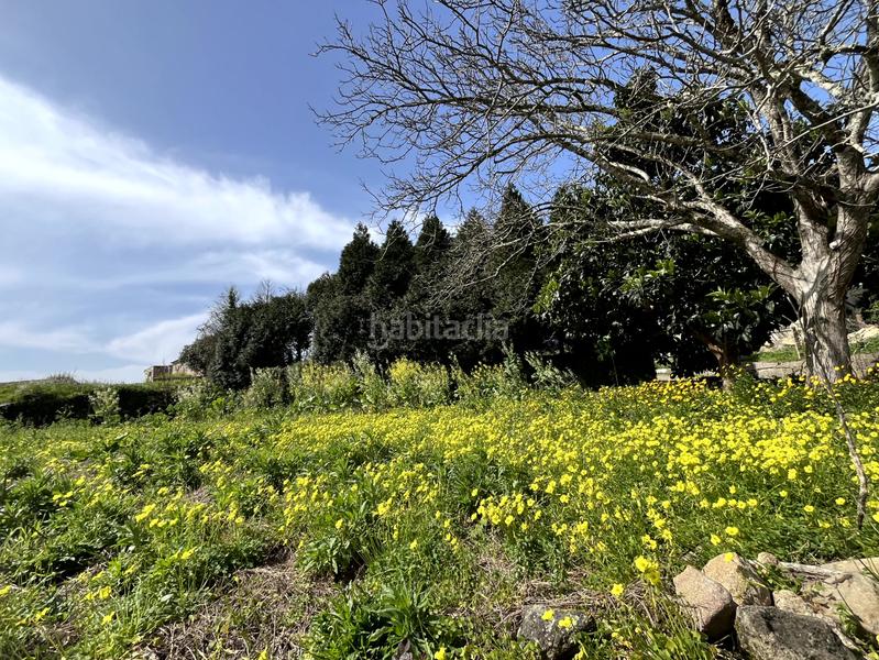 Foto 472cd020-7a13-49ce-994f-23be5a0271f1. Terreny residencial a Arbo