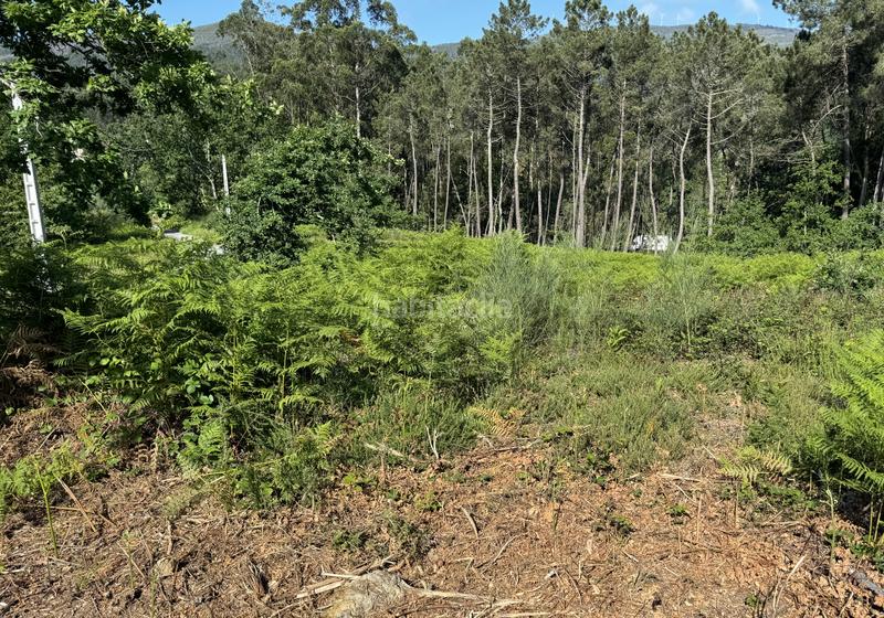 Foto 017af66b-9715-40b7-835e-646d2754c785. Finca rústica en Arbo