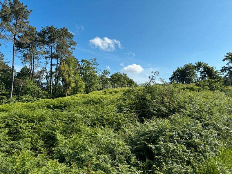 Foto 27b9cb24-f2b6-4eb5-91d2-c71b08ccd909. Finca rústica en Arbo