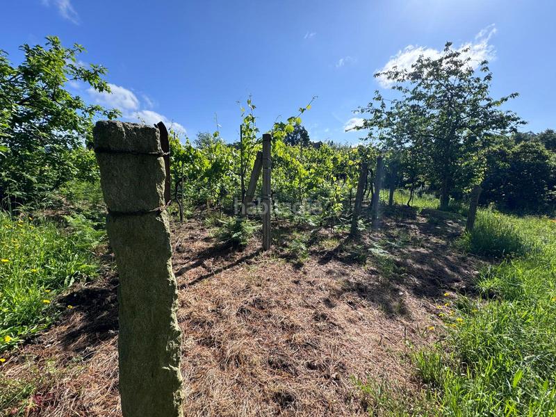 Foto 367e3b74-87b0-4f3e-bb6b-37d41bb73187. Finca rústica en Arbo