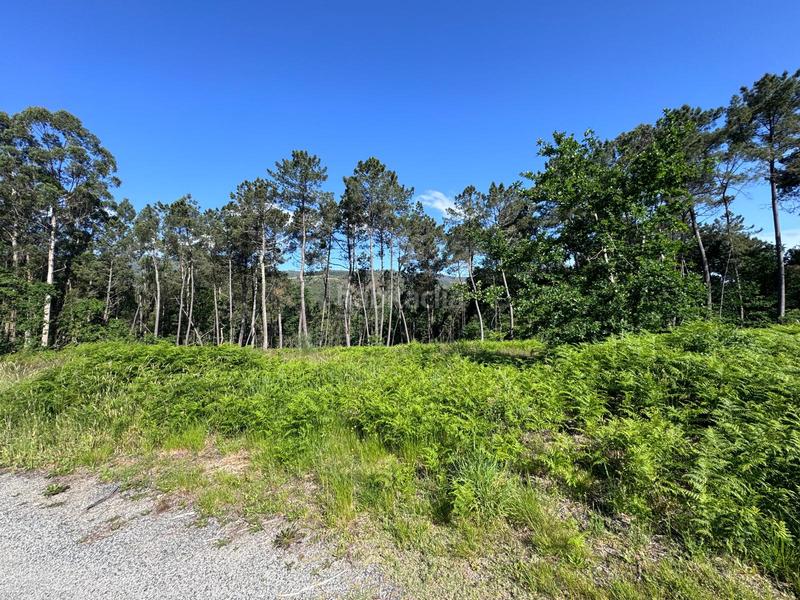 Foto 534c80d5-60c6-47b1-8f45-644bd7cdb3bf. Finca rústica en Arbo