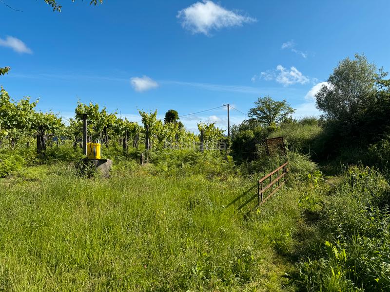 Foto 9953a96e-f6d6-41fc-b8ff-0866736949ce. Finca rústica en Arbo