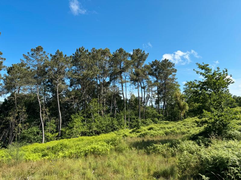 Foto 9a67f628-0bac-460a-9650-7db3344ed6cd. Finca rústica en Arbo