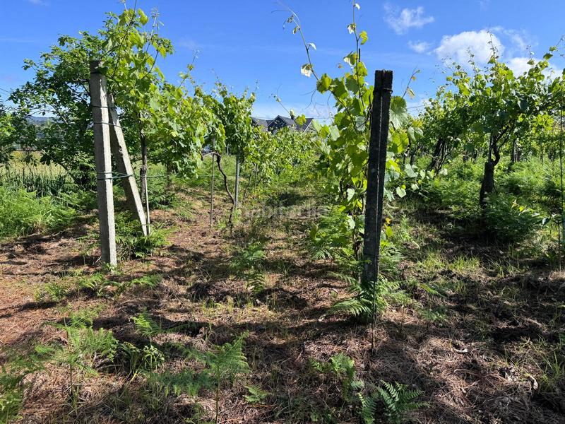 Foto ae942da2-0fb7-492b-a7b5-356ca2840cef. Finca rústica en Arbo