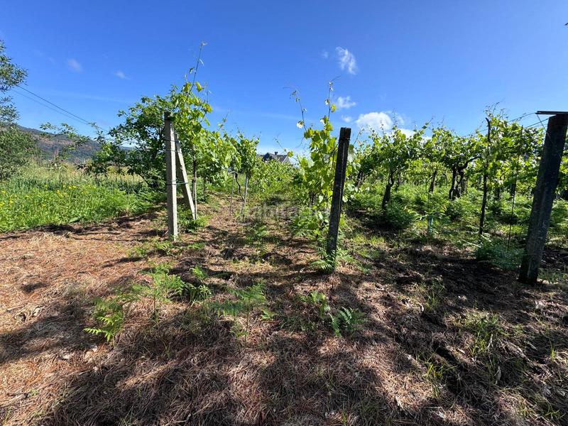 Foto b12fe9b2-2943-499f-bb76-9662b36e05d9. Finca rústica en Arbo