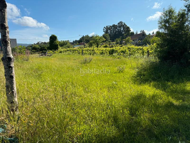 Foto c6bd87e8-61b1-45fc-8e07-4f6c8f19c36d. Finca rústica en Arbo