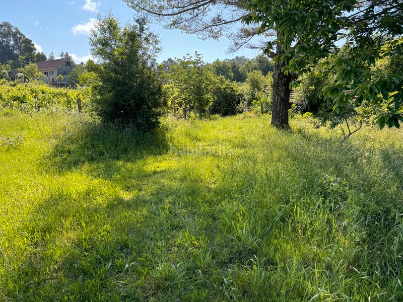 Foto f47fffdd-1bd9-43e5-b64f-c34d729eef87. Finca rústica en Arbo