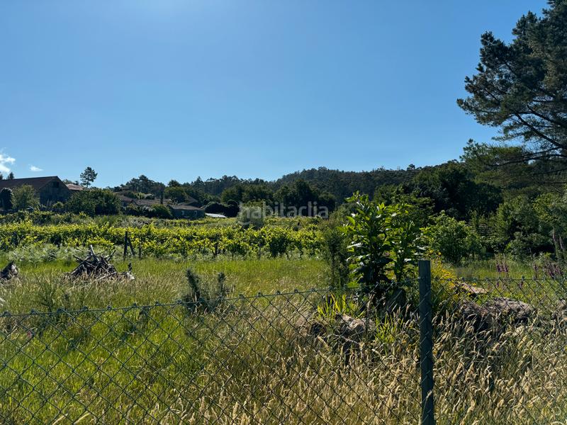 Foto f7c52f74-4dd4-4547-a572-c1454f1fcfcb. Finca rústica en Arbo