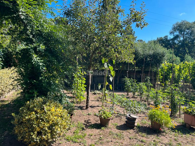 Foto 06b68b5e-c038-4e4e-941b-c996f1666663. Casa con riscaldamento piscina in Beade