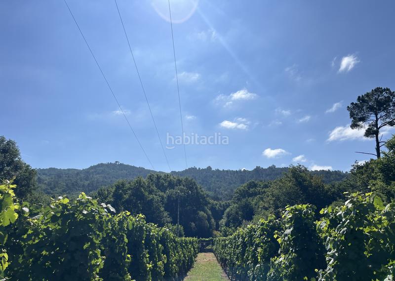 Foto 26881eba-6bf4-4fbb-bb66-e644ce3f36fd. Casa con riscaldamento piscina in Beade