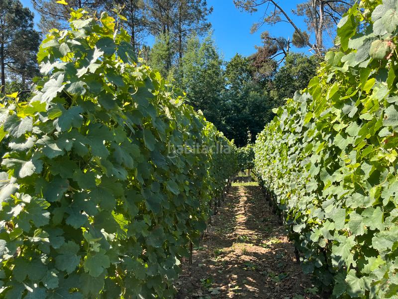 Foto 54cde32e-b763-4eda-965b-235d3e7c9971. Casa con riscaldamento piscina in Beade